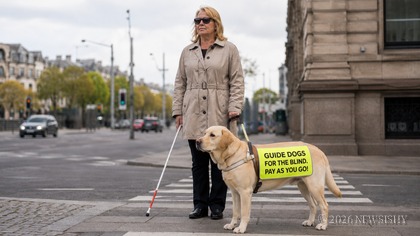Guide Dogs To Start Charging Owners By The Hour.